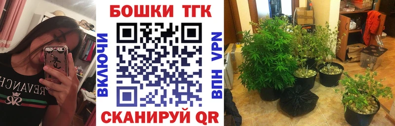 Купить Новая Ладога Каннабис  Мефедрон  Галлюциногенные грибы  ГАШИШ  OMG ONION  АМФ 