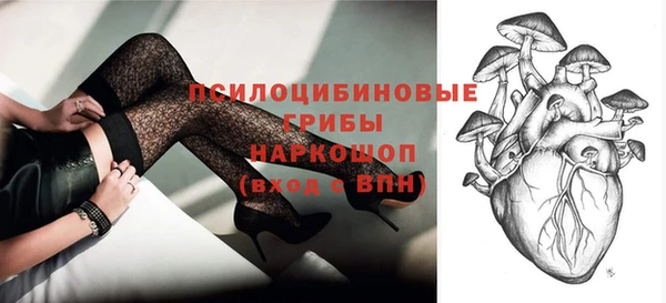 spice Аркадак