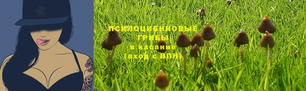 spice Аркадак