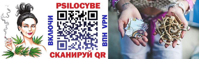 Псилоцибиновые грибы ЛСД  Новая Ладога 